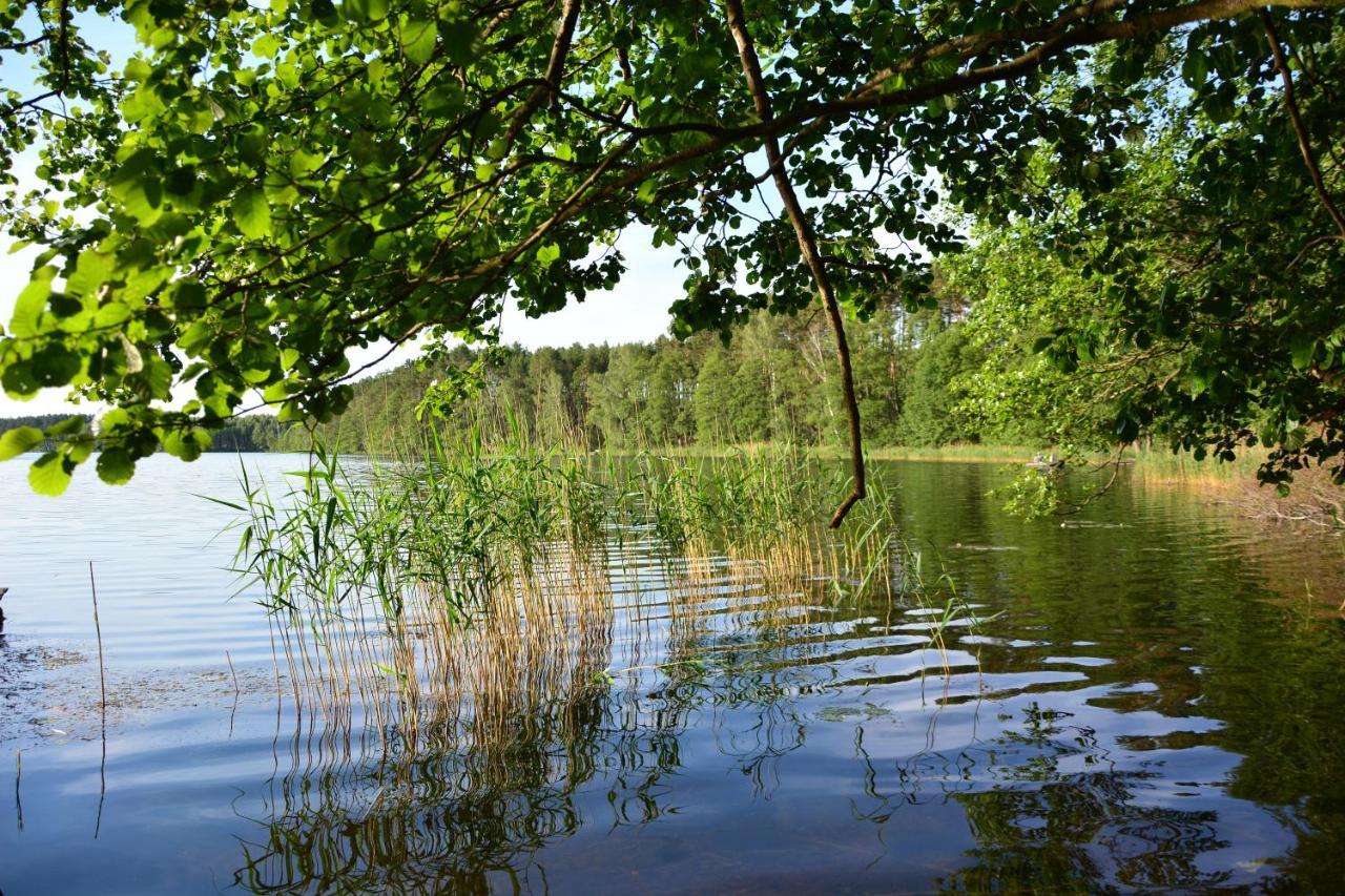 Sowa I Kumple Villa Drezdenko Exteriör bild